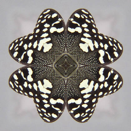 kaleidoscope